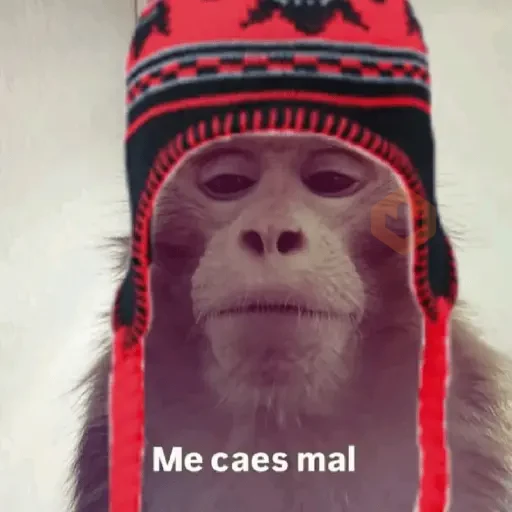 🐵🐒 Changos con Frío 🐒🐵 sticker 14