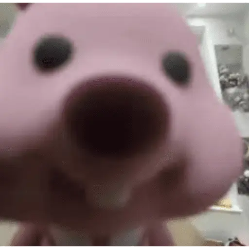 Memes para todos  
