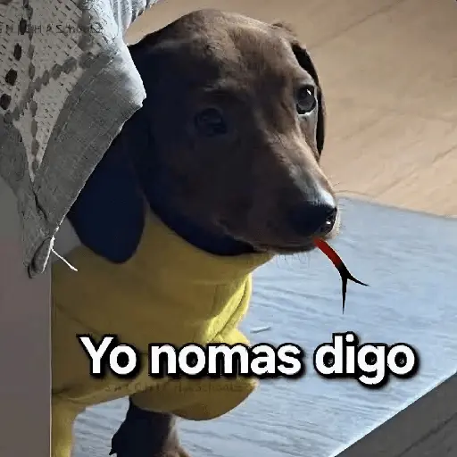 🛝🤸🏻 MEMES 17 🤸🏻‍♀️🛝