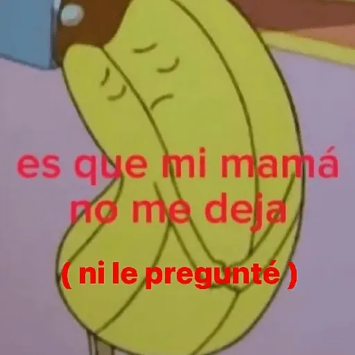 🛝🤸🏻 MEMES 17 🤸🏻‍♀️🛝