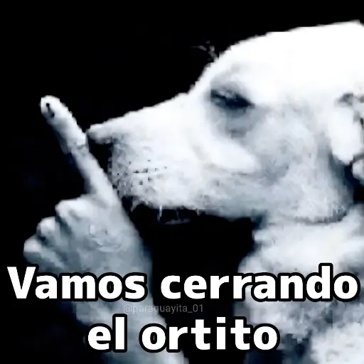 🛝🤸🏻 MEMES 17 🤸🏻‍♀️🛝