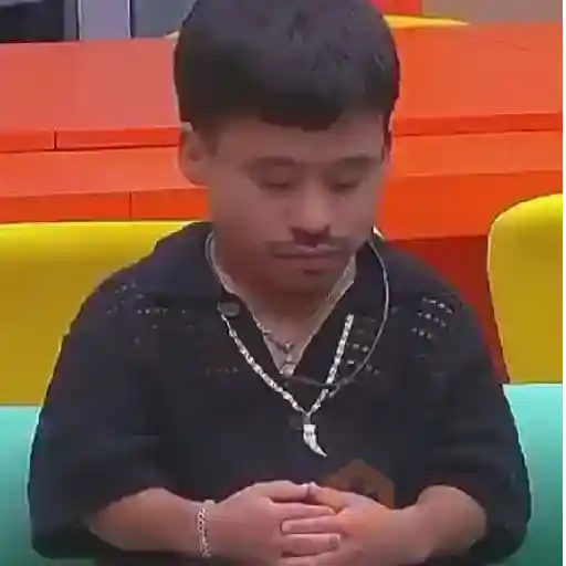 Abelito🧸La casa de los famosos sticker 20