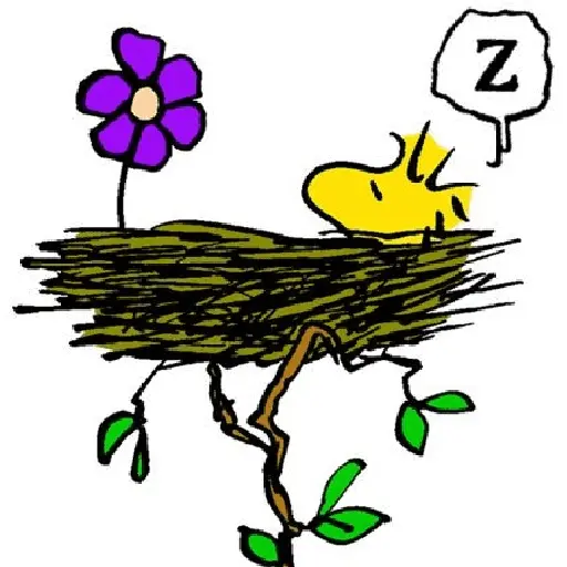 Woodstock🐥✨️