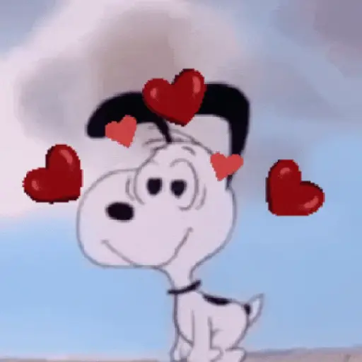 ❨･¨⬮SnOOpy 2️⃣