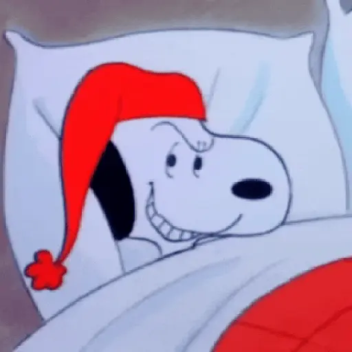 ❨･¨⬮SnOOpy 2️⃣