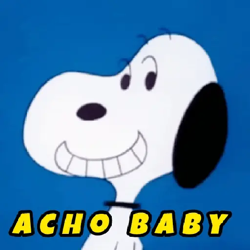 ❨･¨⬮SnOOpy 2️⃣