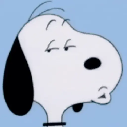 ❨･¨⬮SnOOpy 2️⃣