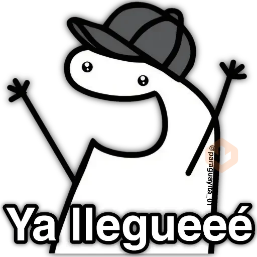 🌈Flork Mix 21🧦 sticker 11