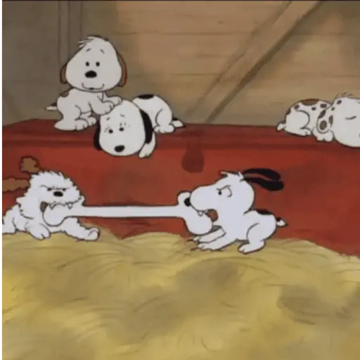 snoopy :)