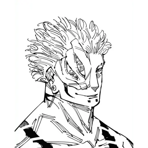 Jujutsu kaisen 