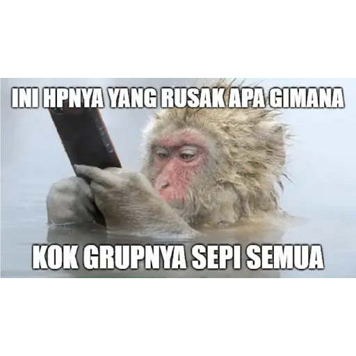 Meme