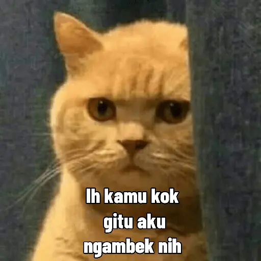 Meme