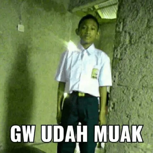 Meme