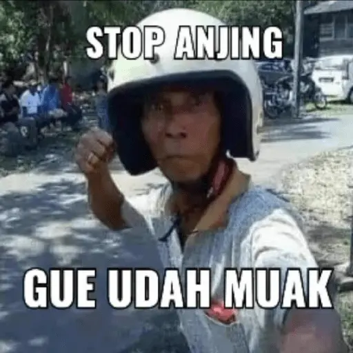 Meme