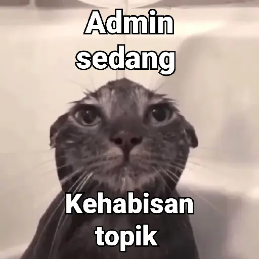 Meme
