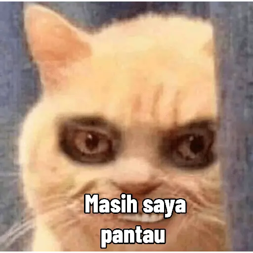 Meme