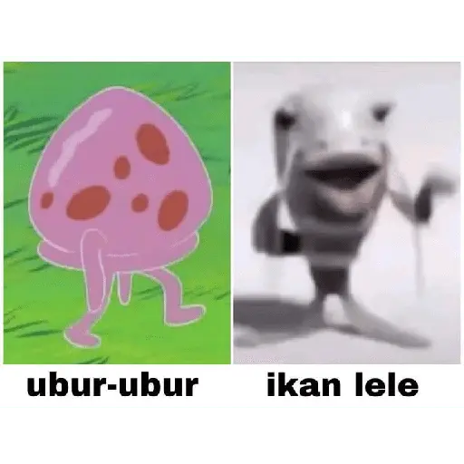 Meme