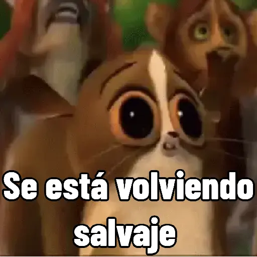 Random MOV 2.0