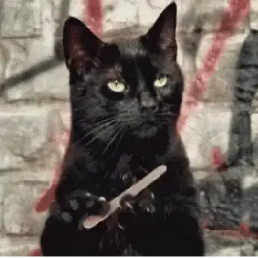 Random MOV 2.0