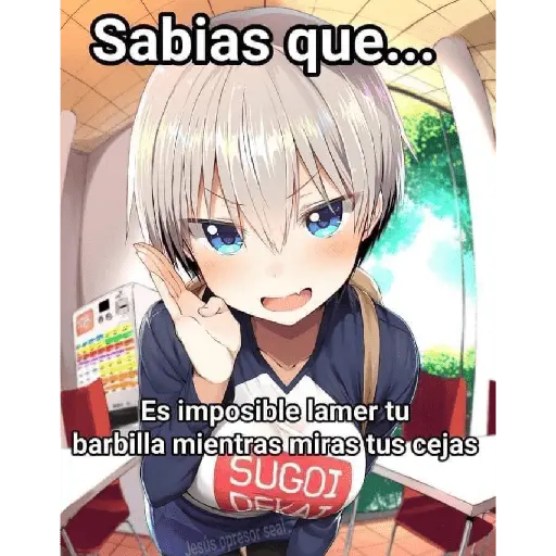 chicas anime
