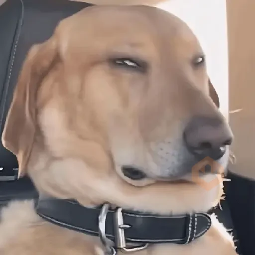 🎵🫡 TIKTOK MEMES 🫡🎵 sticker 30