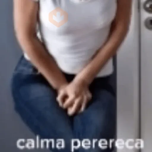 🎵🫡 TIKTOK MEMES 🫡🎵 sticker 13