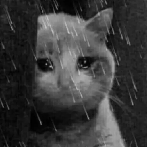Tristeza y Agonía 😪😭