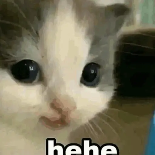 😎 SHITPOST MOV 😆
