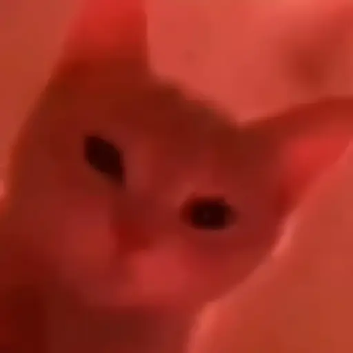 🎵 TIKTOKeando 46 🎵