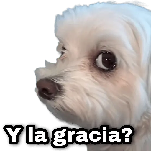 😔 Stickers Basura 🗑️#7