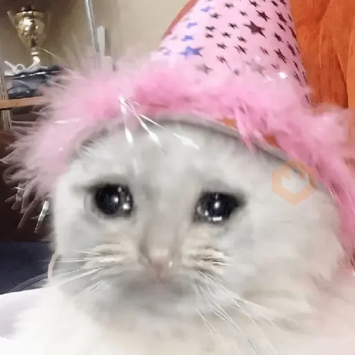 🐱💔😢 •GATOS TRISTES• 😢💔🐱