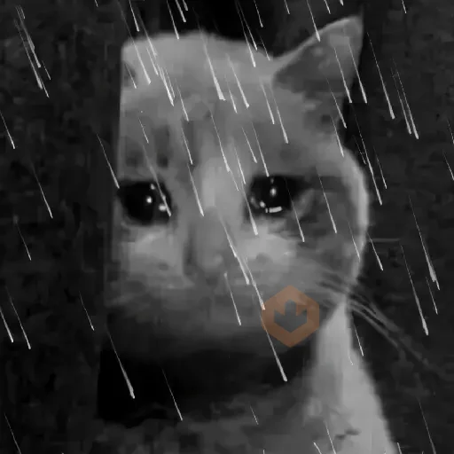 🐱💔😢 •GATOS TRISTES• 😢💔🐱