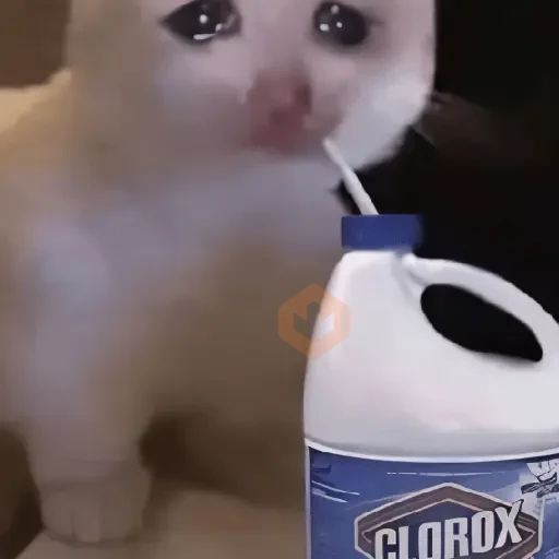 🐱💔😢 •GATOS TRISTES• 😢💔🐱