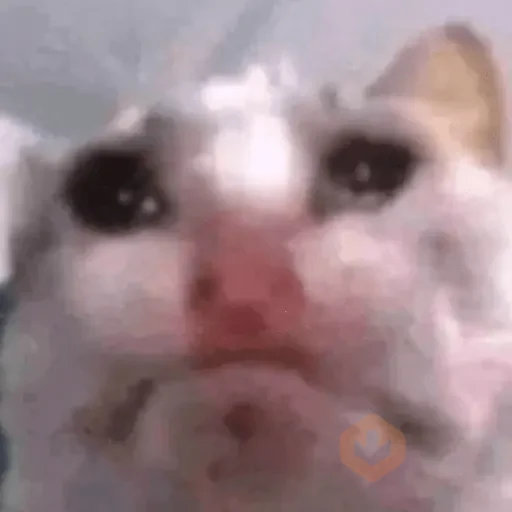 🐱💔😢 •GATOS TRISTES• 😢💔🐱