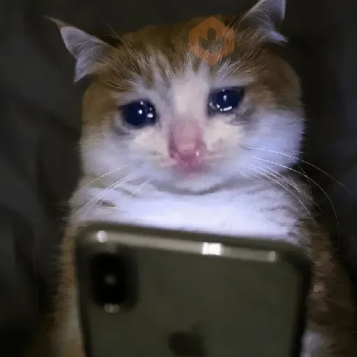 🐱💔😢 •GATOS TRISTES• 😢💔🐱