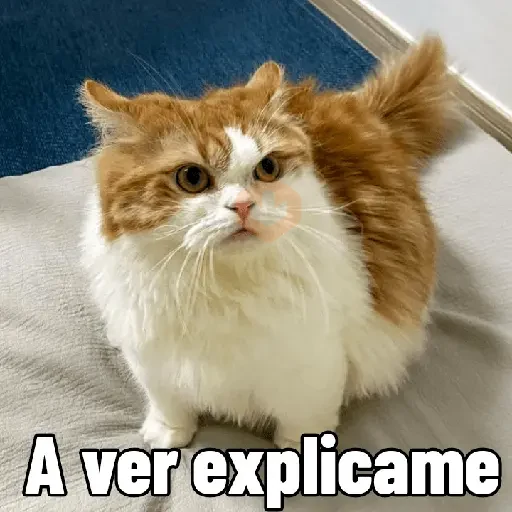 Gatitos 😻😼 sticker 13