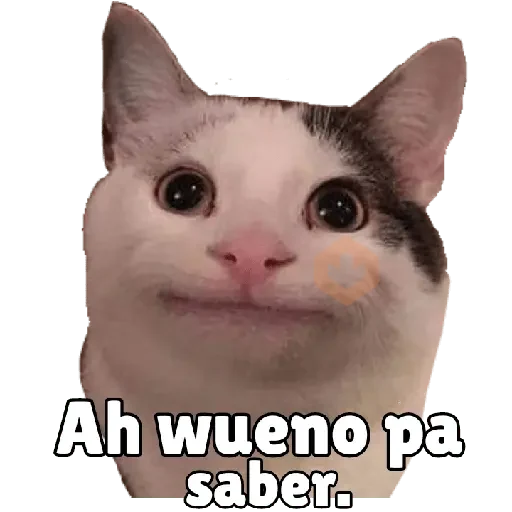 Gatitos 😻😼 sticker 15