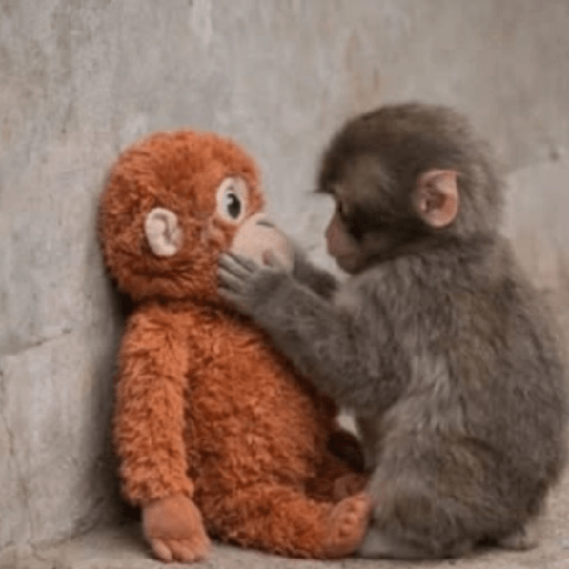 Sad monkey / macaquinho triste preview
