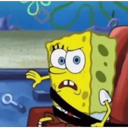TikTok Memes 4