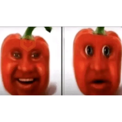 TikTok Memes 4