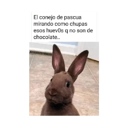Pascuas_Semana Santa ✝️😇