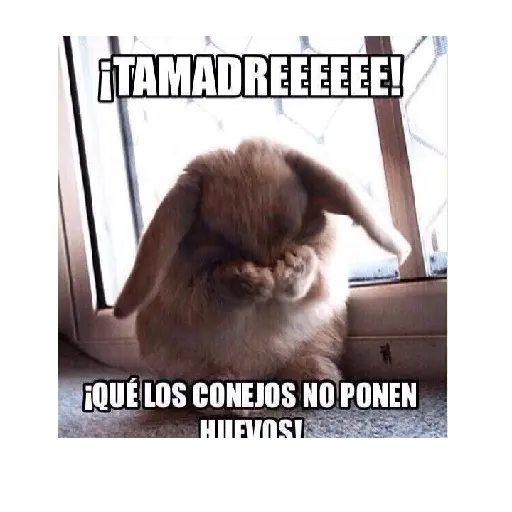 Pascuas_Semana Santa ✝️😇