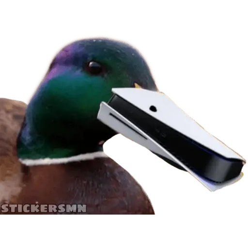 Ps5 *Memes*