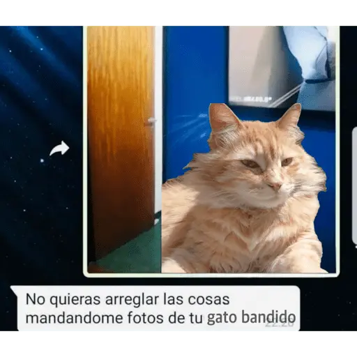 Mi paquete