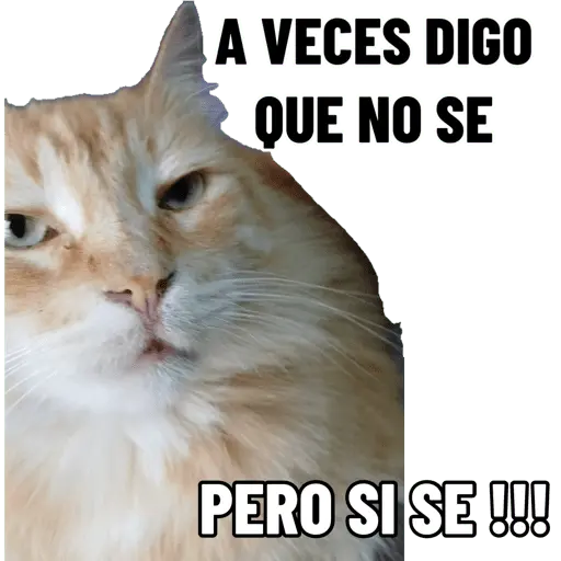 Mi paquete