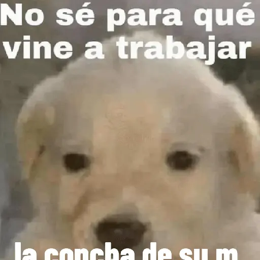 A trabajar 😭😭😭