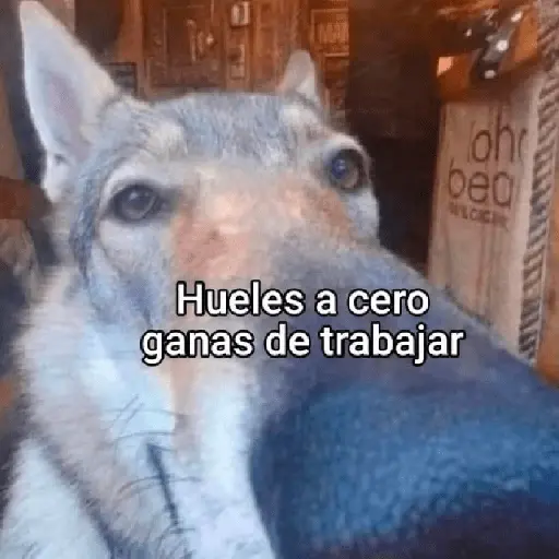 A trabajar 😭😭😭