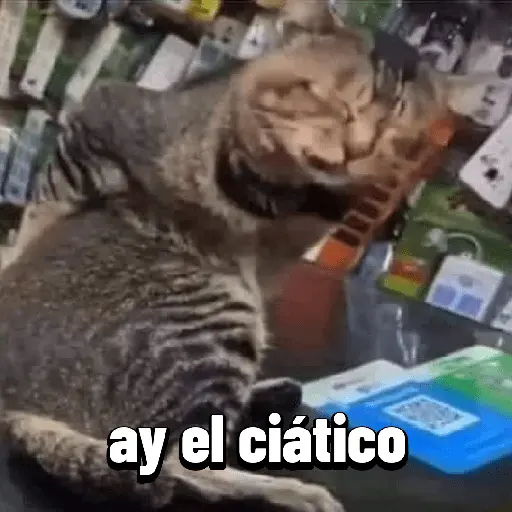 A trabajar 😭😭😭