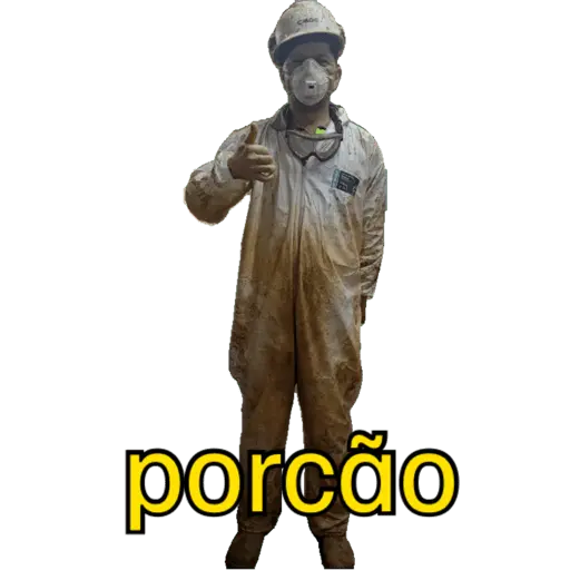 Minhas figurinhas