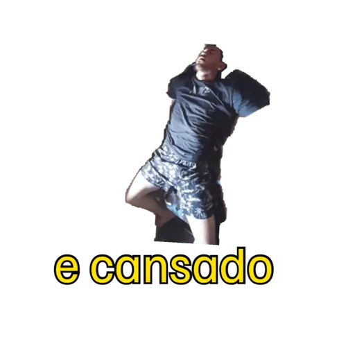 Minhas figurinhas
